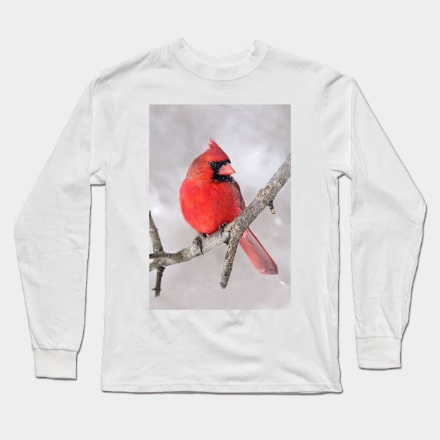 Northern Cardinal Long Sleeve T-Shirt by Jim Cumming